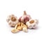 Fresh garlic heads and garlic cloves ingredient for cooking isolated with white background Generative AI Illustration