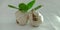 Fresh garlic in pair with leaf organic presentation