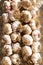 Fresh garlic put to dry abruzzo italy