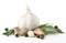 Fresh garlic with rosemary and parsley isolated on white background. Raw garlic
