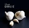 Fresh garlic with typography and copy space