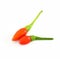 Fresh generate of chilli isolate on white background