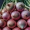 Fresh giant onions create a vibrant display at the market