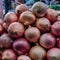 Fresh giant onions create a vibrant display at the market