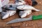 Fresh Gilt-head bream (or dourada) fish at Porto market (Mercado do Bolhao