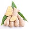 Fresh ginger with leaves.