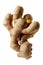 Fresh ginger root, a cooking ingredient and spice.