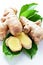 Fresh Ginger Root With Green Leaves on a White Background