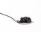 Fresh grainy black paddlefish caviar in metal spoon on white background