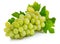 Fresh grape fruits with green leaves