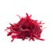 Fresh grated beetroot salad