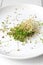 Fresh green alfalfa sprouts