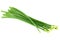 Fresh green Allium Spring Onion Flowers