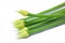 Fresh green Allium Spring Onion Flowers