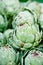 Fresh green artichokes macro closeup on market outdoor