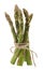 Fresh green asparagus bunch, tied by string