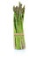 Fresh green asparagus bunch vegetable isolated