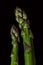 Fresh green asparagus close up (macro) on black background captured from above