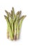 Fresh green Asparagus stalks