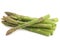 fresh green asparagus tips