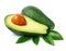 Fresh green avocado fruits with leaf