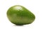 A fresh green avocado on a white background
