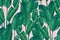 Fresh green banana leaves on pink background. Tropical greenery seamless pattern