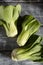 Fresh green bok choy or pac choi chinese cabbage on a gray wooden background. Top view, close up