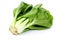 Fresh green bok choy on white background.