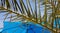 Fresh green branch of palm tree in front of bright blue parasol