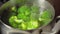 Fresh green broccoli florets gently boiling in a pot of water, releasing steam and filling the kitchen