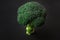 Fresh green broccoli tree on dark background