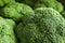 Fresh green broccoli vegetables background closup