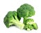 Fresh green broccoli on white background