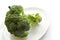 Fresh green broccoli on white plate