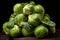 Fresh green brussel sprouts vegetable