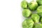 The Fresh green brussel sprouts vegetable on white background