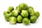 Fresh green brussel sprouts vegetable on white background