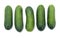 Fresh green bumpy cucumbers in a row