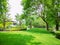 Fresh green carpet grass smooth lawn in garden with row of bush and trees on the background in good care maintenance