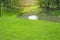 Fresh green carpet grass yard, smooth lawn in a beautiful garden and good care landscaping, beside a curve long lake and trees
