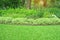 Fresh green carpet grass yard, smooth lawn in beautiful garden and good care landscaping in the public park