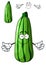 Fresh green cartoon zucchini vegetable