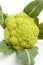 Fresh green cauliflower close up