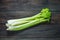 Fresh green celery vegetable on wood. Top view. Organic background