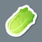 Fresh green chinese cabbage sticker tasty vegetable icon healthy food concept