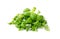 Fresh Green Chopped Basil Leaves Isolated on White Background