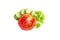 Fresh green chopped cucumber and red tomato, parsley, ripe vegetables, salad ingredient, isolated on white background