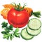 Fresh green chopped cucumber, whole red tomato, parsley leaf, yellow carrot, collection of variety ripe vegetables