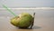 Fresh green coconut lies on a sandy beach on a background of sea waves